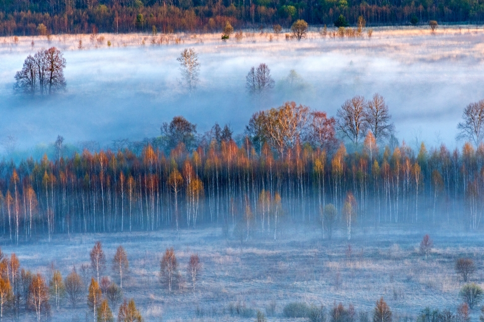 Туман, Тверская область